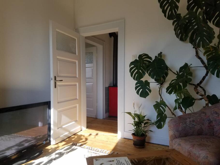 Ferienwohnung Alte-Schule-Kail Wohnung 2 מראה חיצוני תמונה