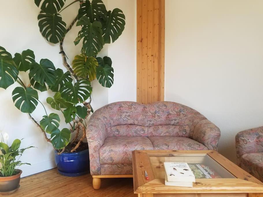 Ferienwohnung Alte-Schule-Kail Wohnung 2 מראה חיצוני תמונה